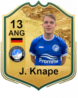 Johannes Knape