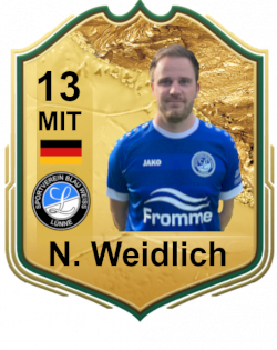 Niklas Weidlich