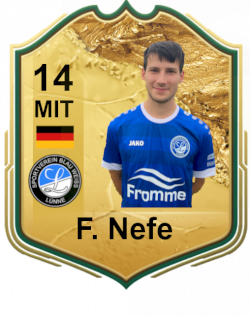 Finn Nefe